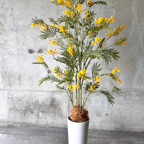 光触媒　人工観葉植物　ウォールグリーン　フェイクグリーン　ミモザ120 光触媒 人工観葉植物 ウォールグリーン フェイクグリーン ミモザ120