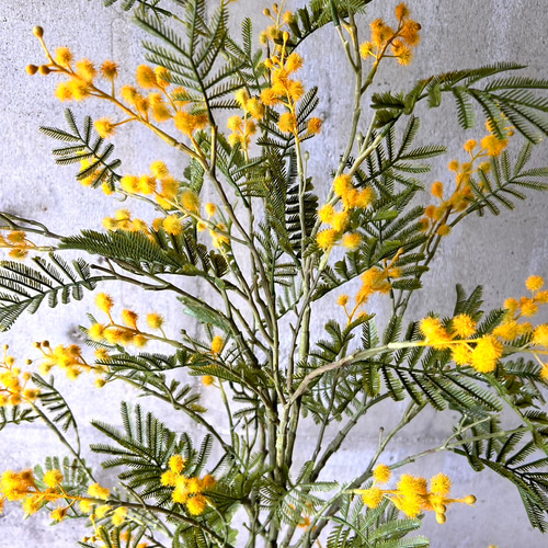 光触媒　人工観葉植物　ウォールグリーン　フェイクグリーン　ミモザ120 光触媒 人工観葉植物 ウォールグリーン フェイクグリーン ミモザ120