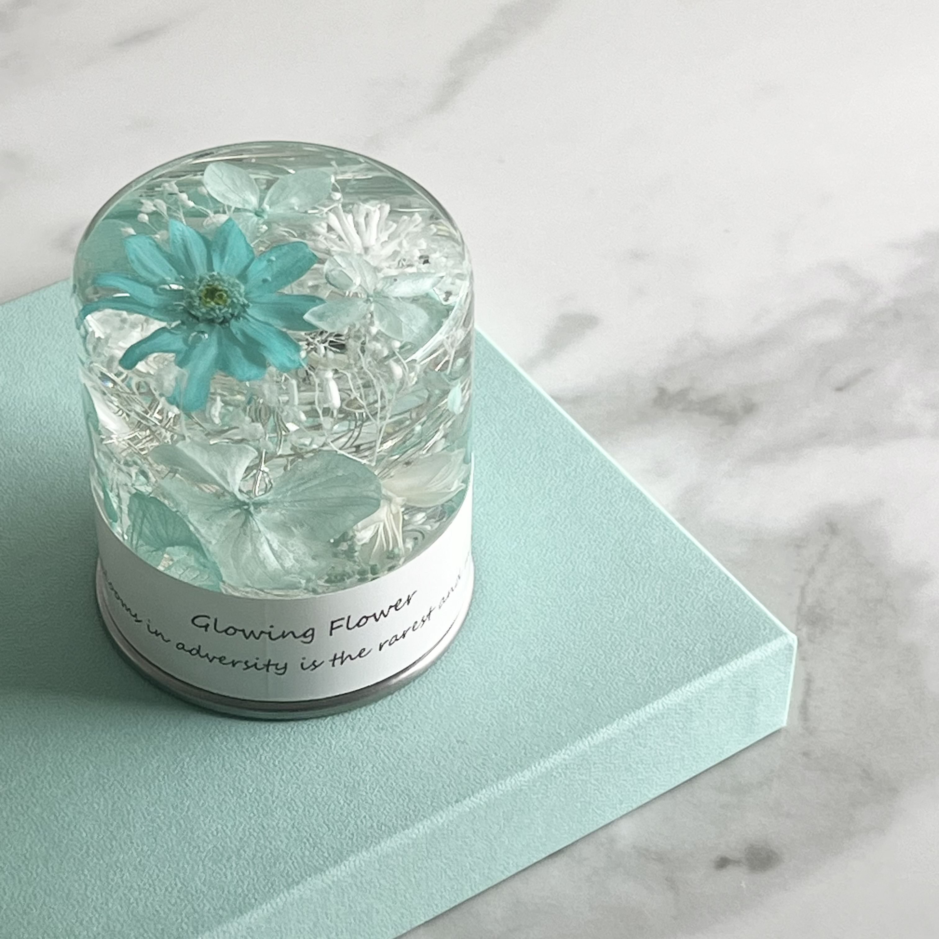 ◇ハーバリウム184 Merry Christmas *.:。✿*゜¨