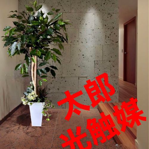 光触媒 人工観葉植物 ウォールグリーン フェイクグリーン