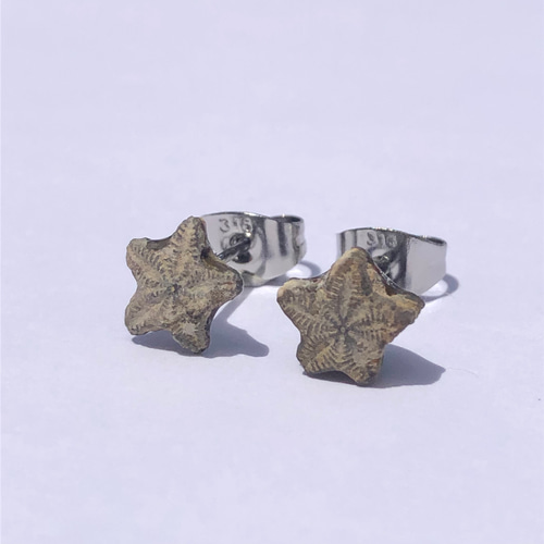 一点もの】 ウミユリの化石ピアス 金属アレルギー対応 ハンドメイド 