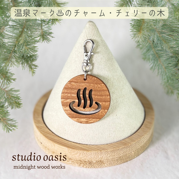 アンテプリマ✨ラージサイズ✨グリーン✨美品チャーム付き✨シルク調リボンチャーム☘️ 楽天市場】【ポイント3倍 8/1 23:59まで】【ANTEPRIMA公式