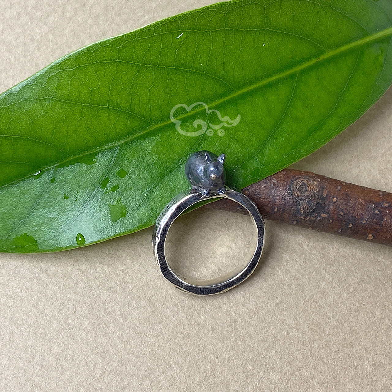 進化と多様性：アマミノクロウサギのリング