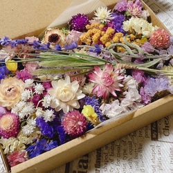 7種詰め合わせ たっぷり ドライフラワー 花材 ハンドメイド