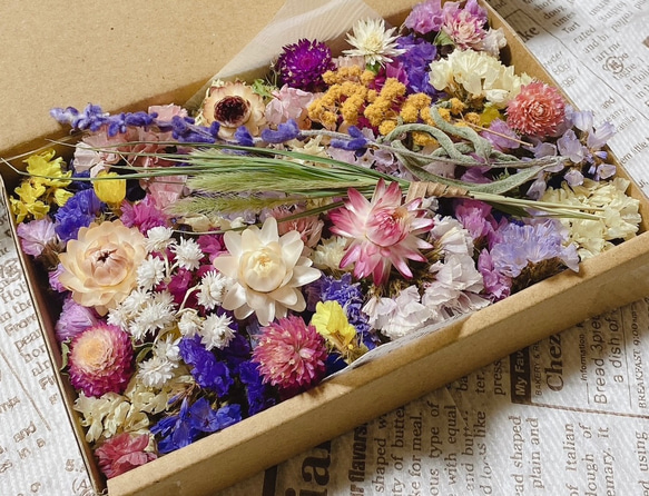 ドライフラワー　花材セット ドライフラワー 花材 セット 詰め合わせ （カラフルMIX