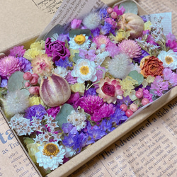 【♡マダミン♡様おまとめ】ドライフラワー 7種詰め合わせ たっぷり ドライフラワー 花材 ハンドメイド