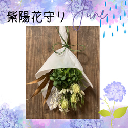 ブッダナッツアレンジ♥️送料お得 ‼️3色からセレクト