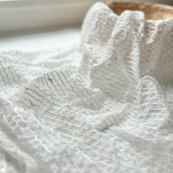 シフォン刺繍》キラキラふわふわ ストライプ（ホワイト) F53-2