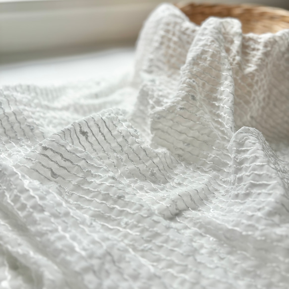 シフォン刺繍》キラキラふわふわ ストライプ（ホワイト) F53-1