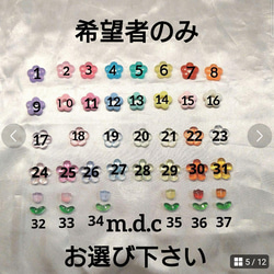  第5張的照片