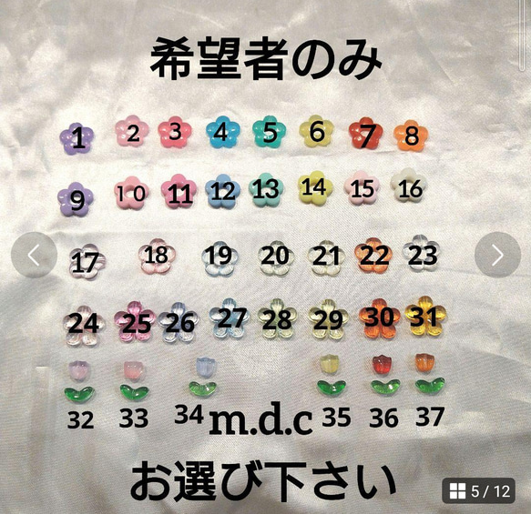  第5張的照片