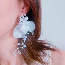 03304d4b7503054ab769a35322f4d0