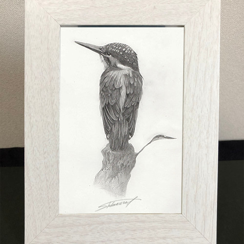 アート絵はがき3枚セット「カワセミ・鉛筆画」オリジナル