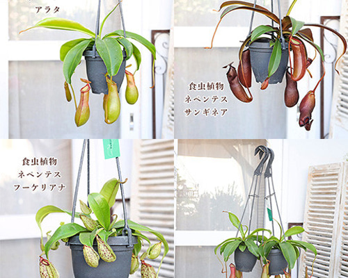 4723362ffc2f89d6d4fabaf796be03