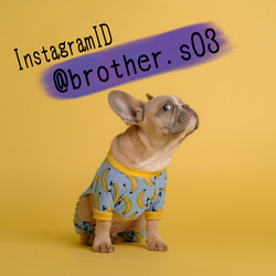 Instagram ID 2枚目の画像