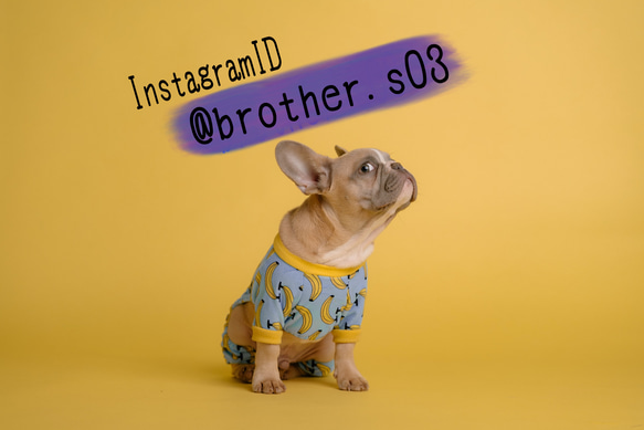 Instagram ID 2枚目の画像