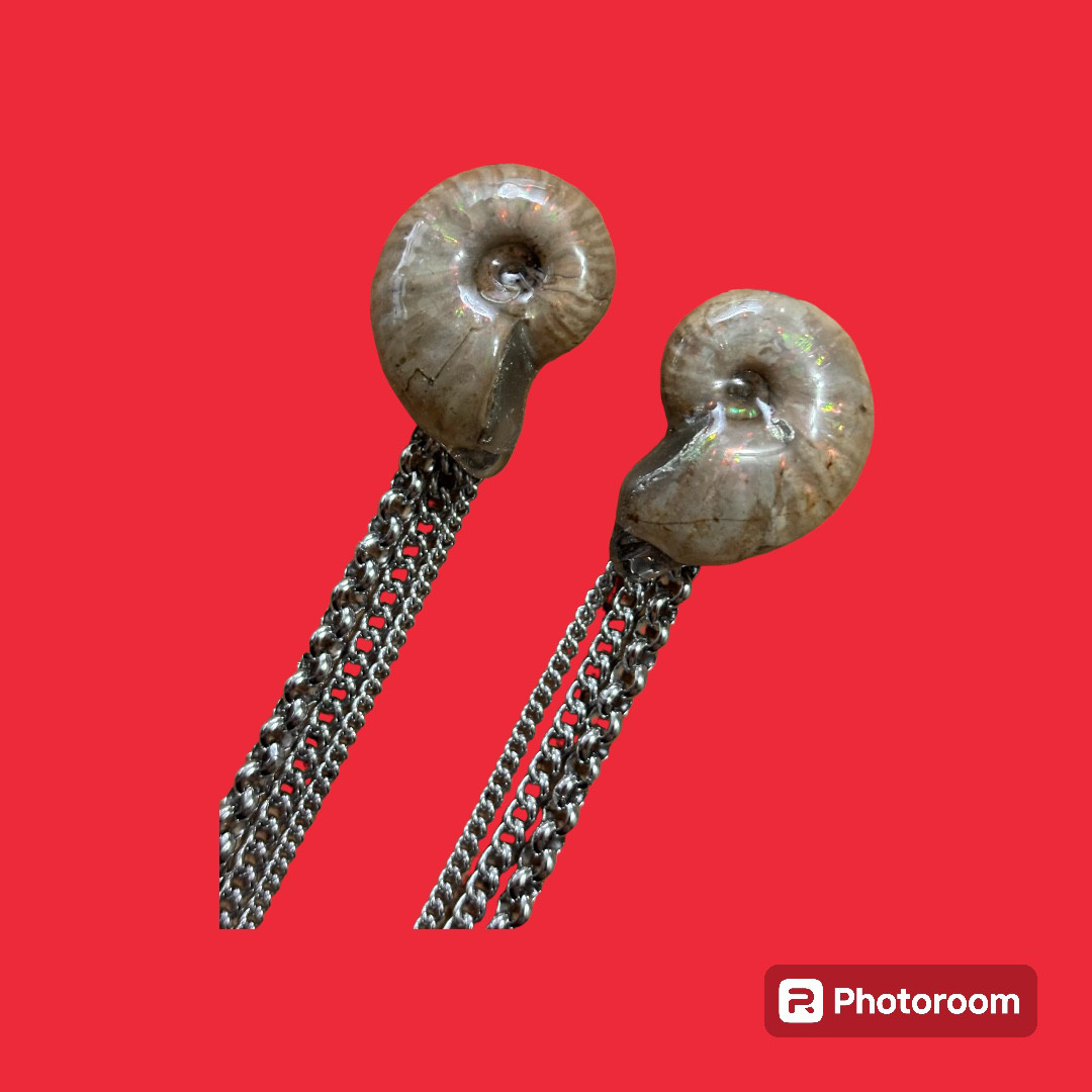 アンモナイトピアス