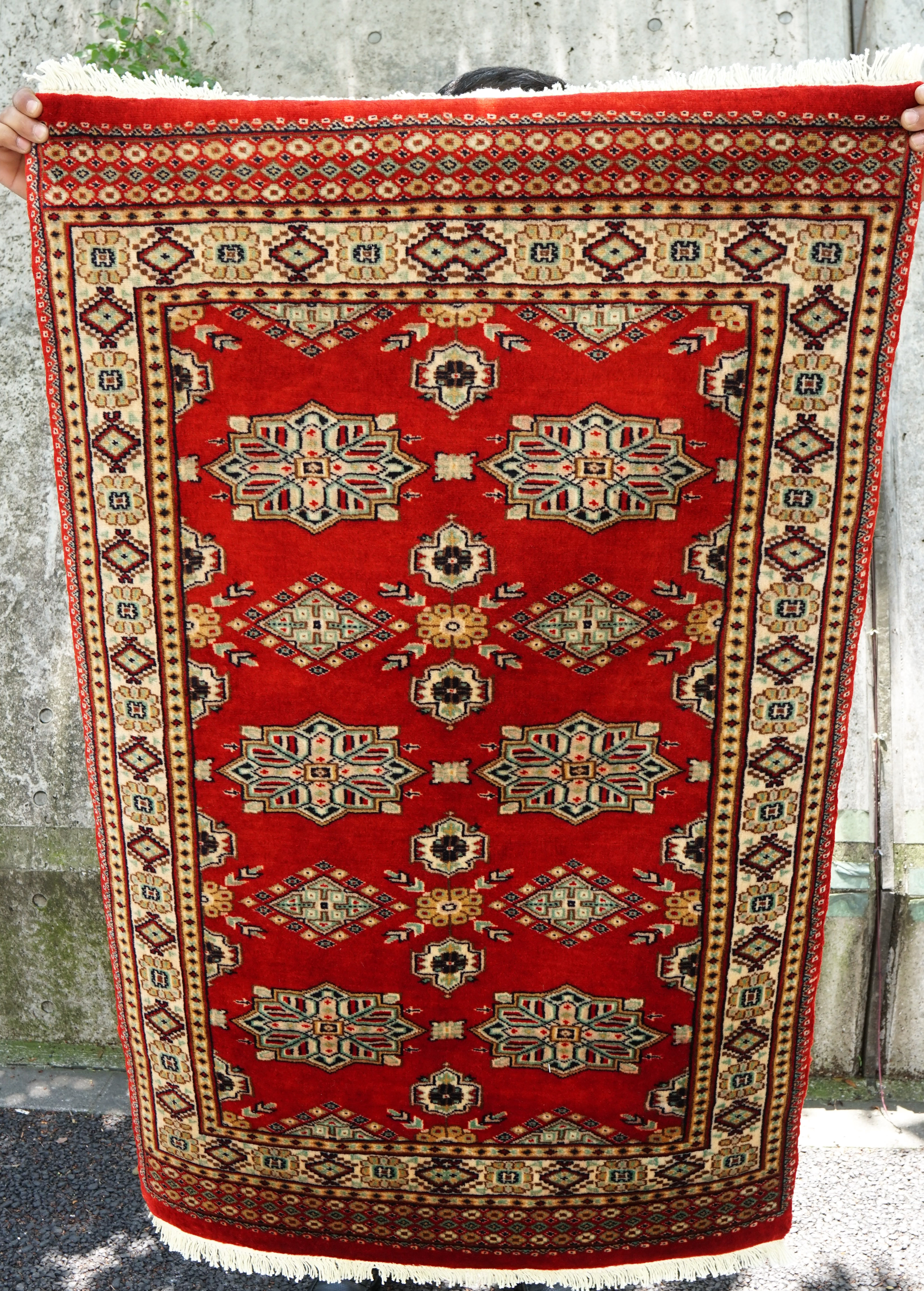 123×80cm【パキスタン手織り絨毯】