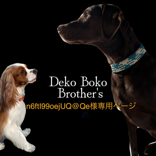 オーダー製作】パラコード ギザギザ平編みカフェリード 小型犬リード