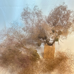 ナンキンハゼの実 5・6粒のセット 30本 ドライフラワー Satsuki 通販