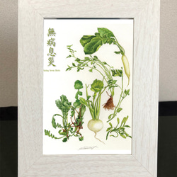 水彩アート「花と緑の花活け」1点物、手描き、真筆。 水彩アート「花とガラスの花活け」1点物、手書き真筆。送料無料