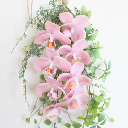 送料無料」胡蝶蘭 シュガーバイン ミニスワッグリース 壁掛け