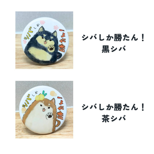 バラ売り可 エグゼキューション まふまふ 缶バッジ まふまふ