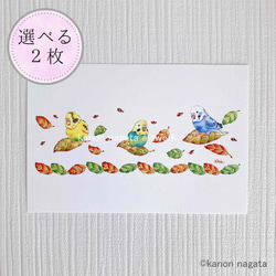 1枚1羽】花と鳥さん・うちの子インコオーダーイラスト/セキセイインコ
