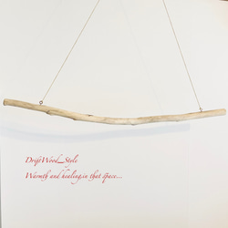 流木インテリア シンプルで真っすぐな大型流木のハンガーラック 北欧 衣装掛 ハンギング 吊り下げ ハンガーポール N29 7枚目の画像