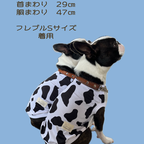 B & C mama　フレブル柄　クールタンクトップ　ハンドメイド 犬服 クールタンクトップ 夏服 ☆MOU☆ ハンドメイド ペット服
