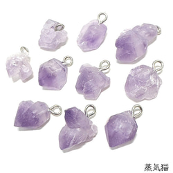 銀貨】庭猫 フィジー 2022年 1オンス シルバーコイン カラー版