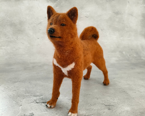 みかん様　オーダー専用　羊毛フェルト　犬　柴犬　マルチーズ　ミックス 0216ee5f55bf420d733f675437cd84