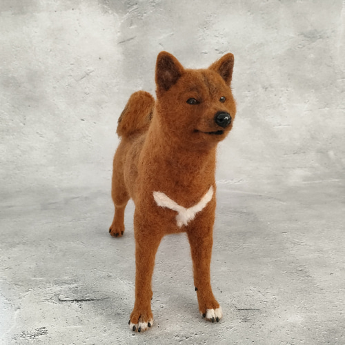 羊毛フェルト 柴犬 置物 楽天市場】羊毛フェルトキット 柴犬 羊毛フェルト犬キット イヌ