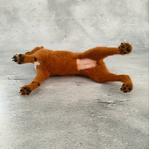 美濃柴犬さん〈24061〉 羊毛フェルト 羊毛わんこ 福や工房 通販