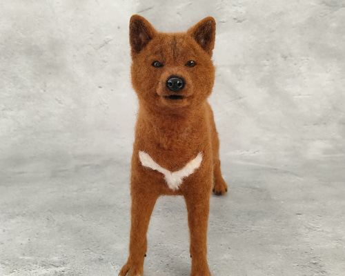 e26db381947766d92df8f2f593dda1