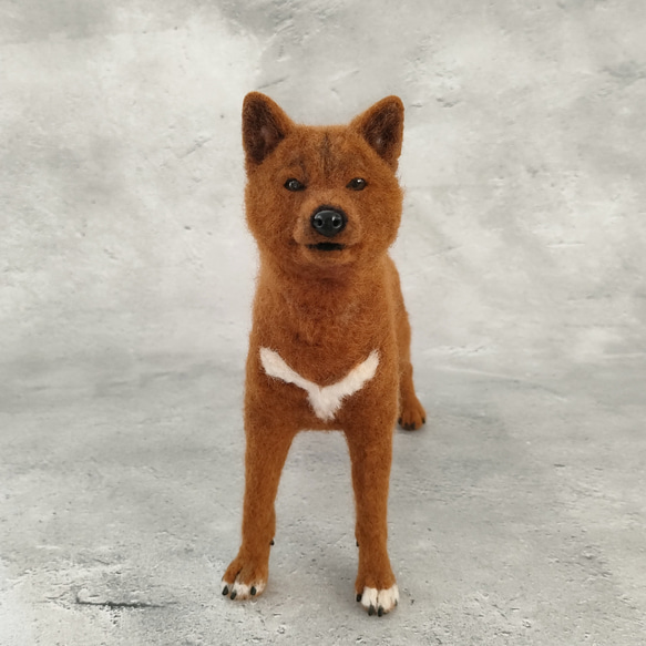 美濃柴犬さん〈24061〉 羊毛フェルト 羊毛わんこ 福や工房 通販