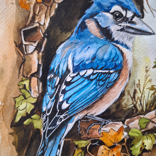 水彩画 美しい鳥BlueJay 絵画 makochin 通販 17811358|Creema 水彩画 美しい鳥BlueJay 絵画 makochin 通販 17811358|Creema