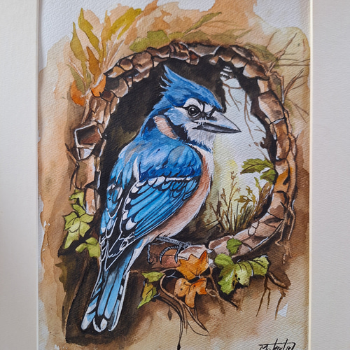 水彩画 美しい鳥BlueJay 絵画 makochin 通販 17811358｜Creema