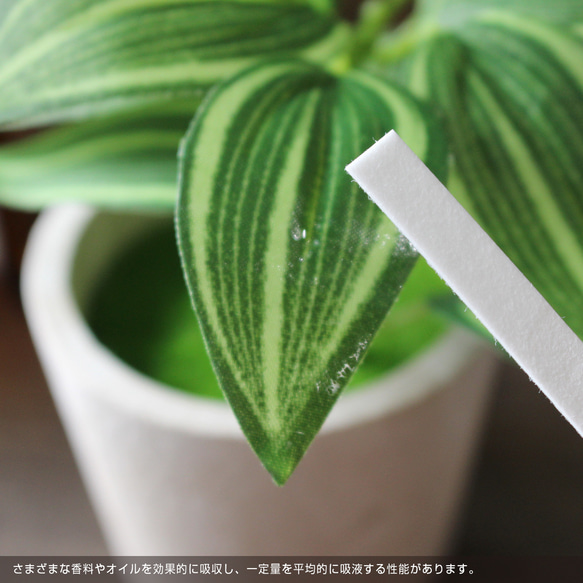 ムエット(香料試験紙・試香紙)【100本】6mm×150mm 7枚目の画像