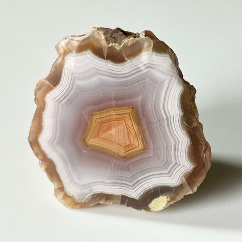 SALE】ゆでたまごカラー カラフルなラグナアゲート メキシコチワワ州産