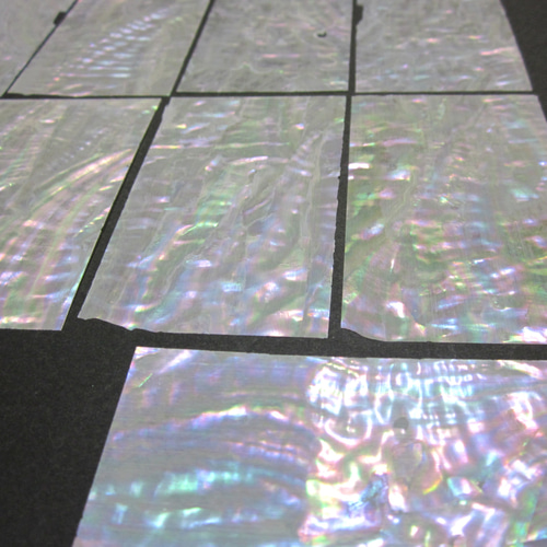 あわび、青貝シート（欠けあり)10枚、螺鈿などに その他素材 radenn