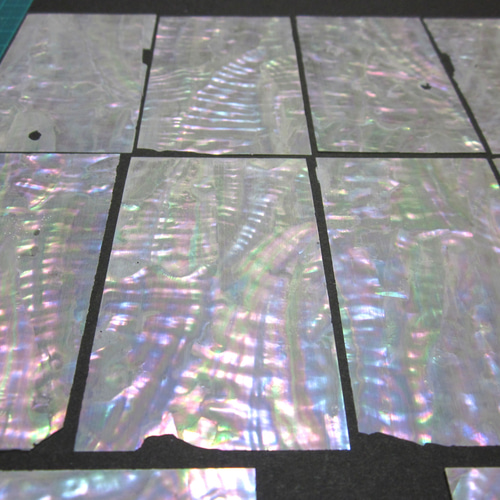 あわび、青貝シート（欠けあり)10枚、螺鈿などに その他素材 radenn