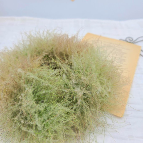 サイズが選べる スモークツリーのナチュラルリース ドライ