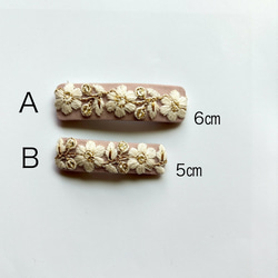  第2張的照片