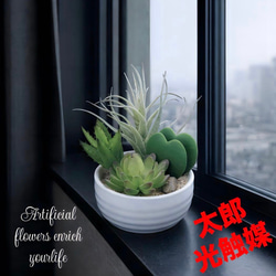 光触媒 人工観葉植物 ウォールグリーン フェイクグリーン ユーカリ高さ