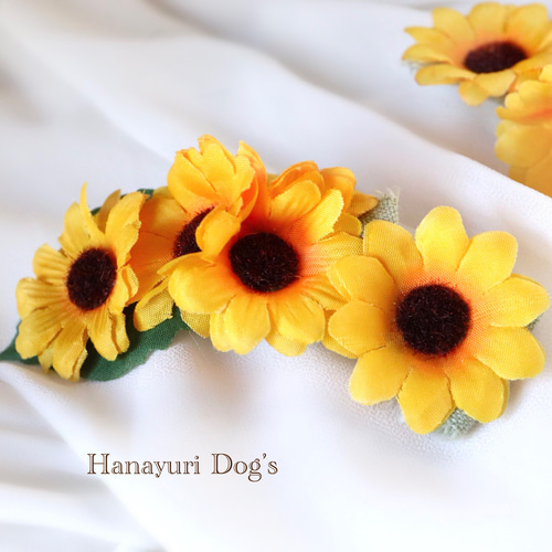 ひまわりりす☆5センチパッチンピン☆ピンク