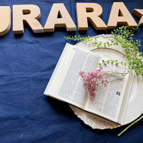 ハイブリッドスターチス（くすみカラーピンク）ドライフラワー その他