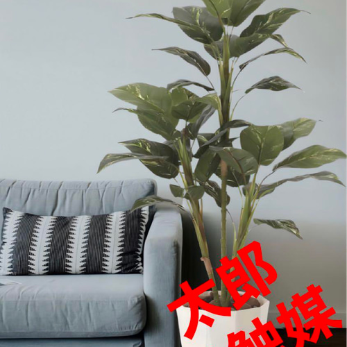光触媒　人工観葉植物　ウォールグリーン　フェイクグリーン　フィロ高さ90センチ 光触媒 人工観葉植物 ウォールグリーン フェイクグリーン フィロ