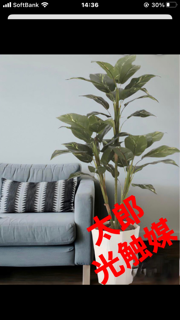 光触媒　人工観葉植物　ウォールグリーン　フェイクグリーン　フィロ高さ90センチ 光触媒 人工観葉植物 ウォールグリーン フェイクグリーン フィロ