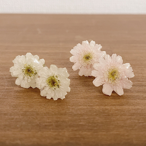 季節の花】マトリカリア ダブルラテ ピアス（スタッド・一粒